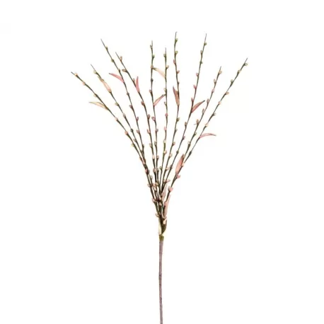 Salix Rosa - L'oca Nera