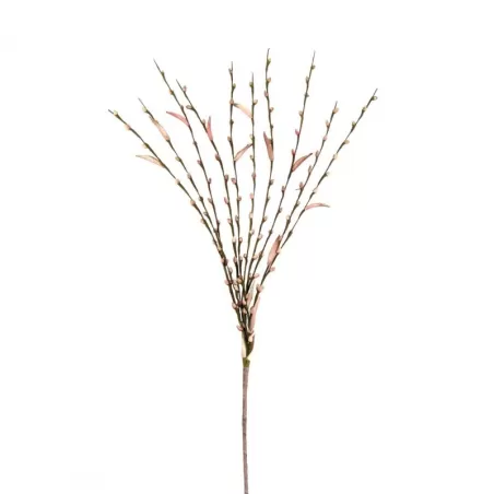 Salix Rosa - L'oca Nera