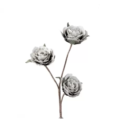 Rosa Ramificata - L'oca Nera