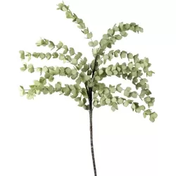 Eucalipto Verde Chiaro - L'oca Nera