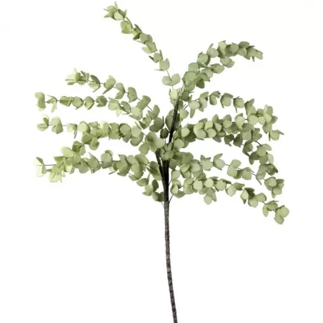 Eucalipto Verde Chiaro - L'oca Nera