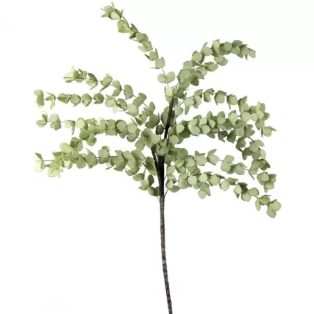 Eucalipto Verde Chiaro - L'oca Nera