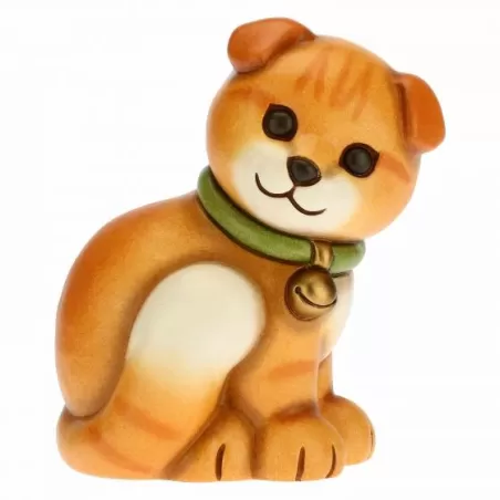 Scottish fold - Thun