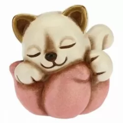 Gattino nascita su fiore rosa - Thun