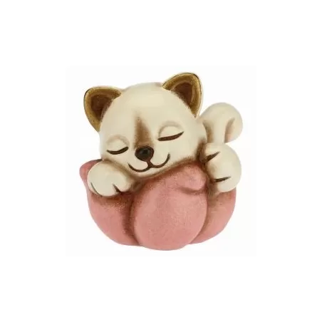 Gattino nascita su fiore rosa - Thun