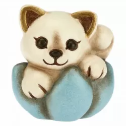 Gattino nascita su fiore azzurro - Thun