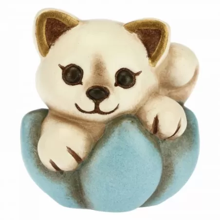 Gattino nascita su fiore azzurro - Thun