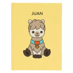 Blocco A6 Juan Teddy Friends - Thun