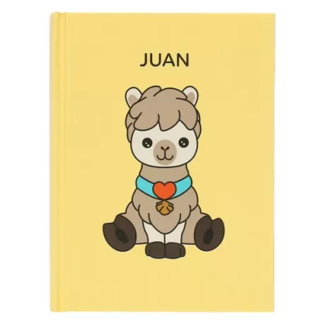 Blocco A6 Juan Teddy Friends - Thun