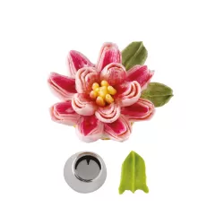 Cornetto blisterato decora n 5 foglia con nervatura frastagliata - Decora