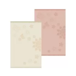 Set 2 asciugamani ospite Elegance - Thun