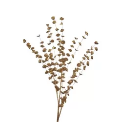 Rami d'oro, Ramo oro 1 - L'oca Nera