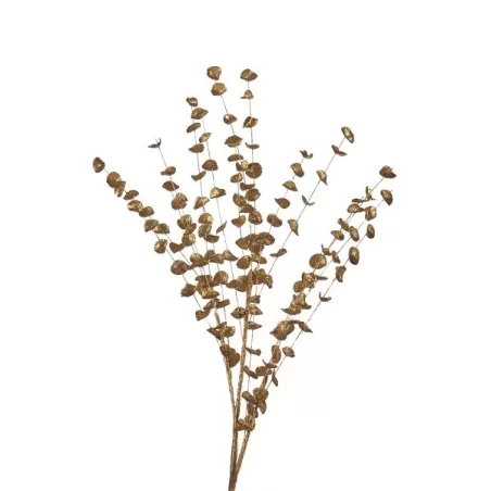 Rami d'oro, Ramo oro 1 - L'oca Nera