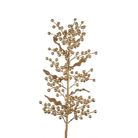 Rami d'oro, Ramo oro 2 - L'oca Nera