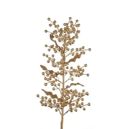 Rami d'oro, Ramo oro 2 - L'oca Nera