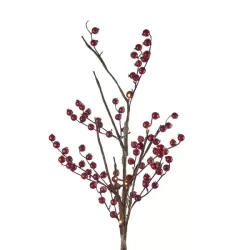 Rami lucenti, Ramo con bacche rosse con led - L'oca Nera
