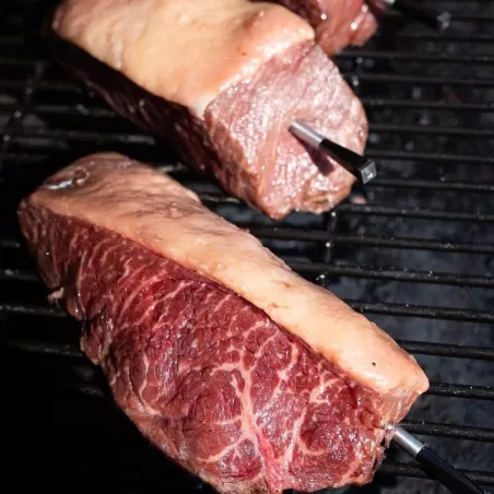 Termometro MEATER PLUS - Meater