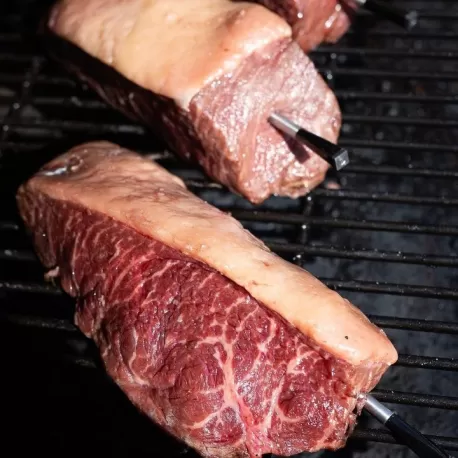 Termometro MEATER - Meater