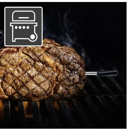 Termometro Thermoconrol Air - Laserliner