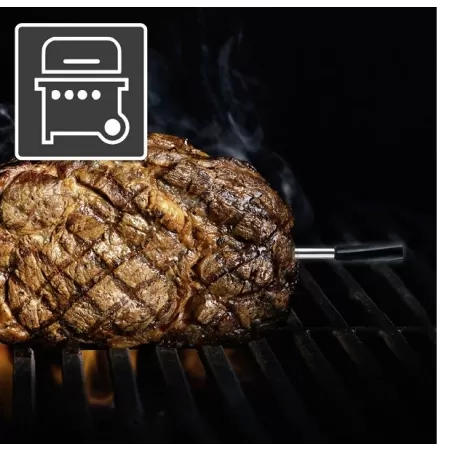 Termometro Thermoconrol Air - Laserliner