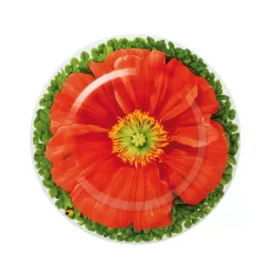 Prati Italiani, Piatto frutta - Taitu