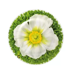 Prati Italiani, Piatto frutta - Taitu