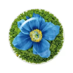 Prati Italiani, Piatto frutta - Taitu