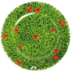 Prati Italiani, Piatto segnaposto - Taitu