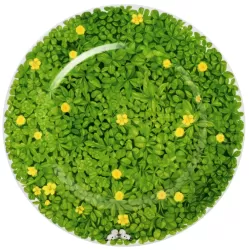 Prati Italiani, Piatto segnaposto - Taitu