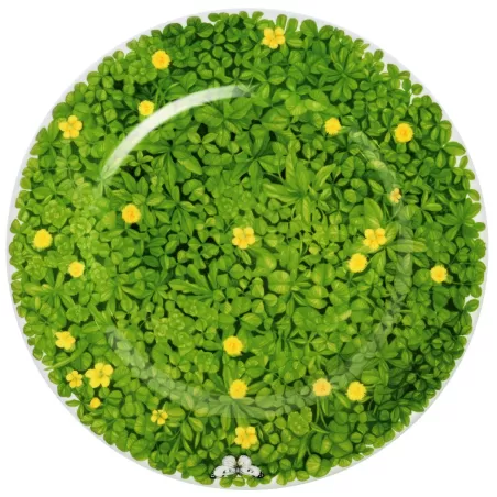 Prati Italiani, Piatto segnaposto - Taitu