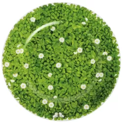 Prati Italiani, Piatto segnaposto - Taitu