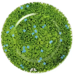 Prati Italiani, Piatto segnaposto - Taitu