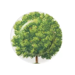 Freedom, Piatto pane - Taitu