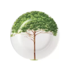 Freedom, Piatto pane - Taitu