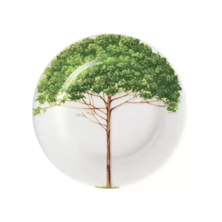 Freedom, Piatto pane - Taitu