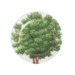 Freedom, Piatto pane - Taitu