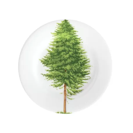 Freedom, Piatto pane - Taitu