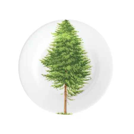 Freedom, Piatto pane - Taitu