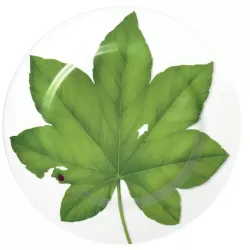 Freedom, Piatto segnaposto - Taitu