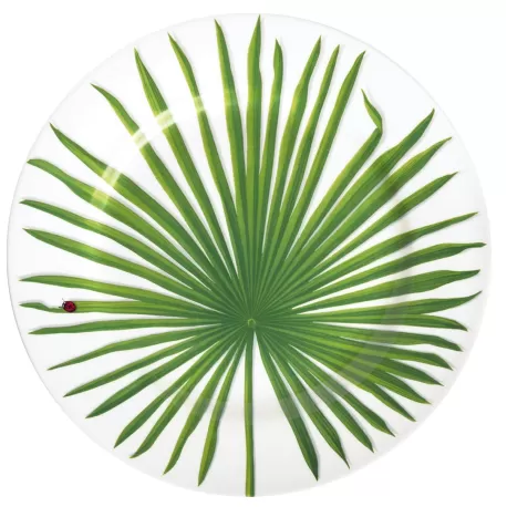 Freedom, Piatto segnaposto - Taitu