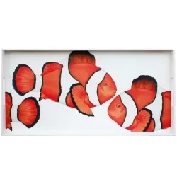 Mare, Vassoio rettangolare - Taitu