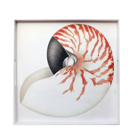 Mare, Vassoio quadrato - Taitu