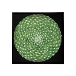 Cactus, Vassoio quadrato - Taitu