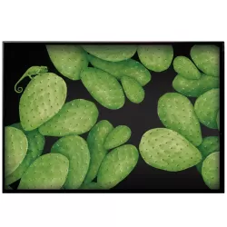 Cactus, Vassoio rettangolare - Taitu