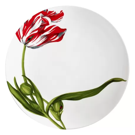 Emotion, Piatto piano - Taitu