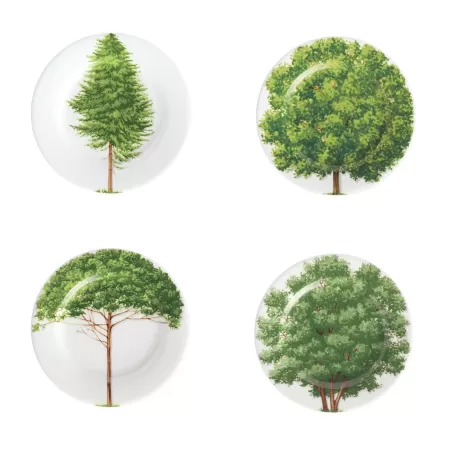 Freedom, Piatto pane 4 pezzi - Taitu