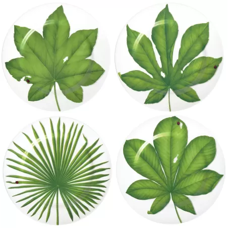 Freedom, Piatto segnaposto 4 pezzi - Taitu