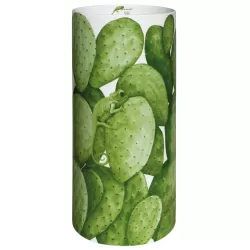 Bouquet, Cactus - Vaso cilindrico XXL (Extra Extra Large) - Taitu