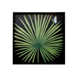 Freedom, Foglie - Vassoio quadrato - Taitu