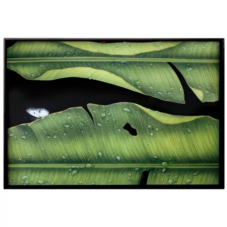 Freedom, Foglie - Vassoio rettangolare - Taitu